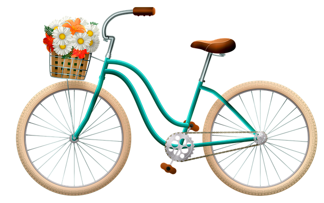 自行车 篮子里的花朵 女子自行车 - 上的免费图片
