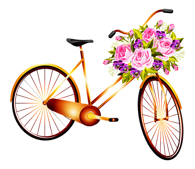 自行车 篮子里的花朵 女子自行车 - 上的免费图片