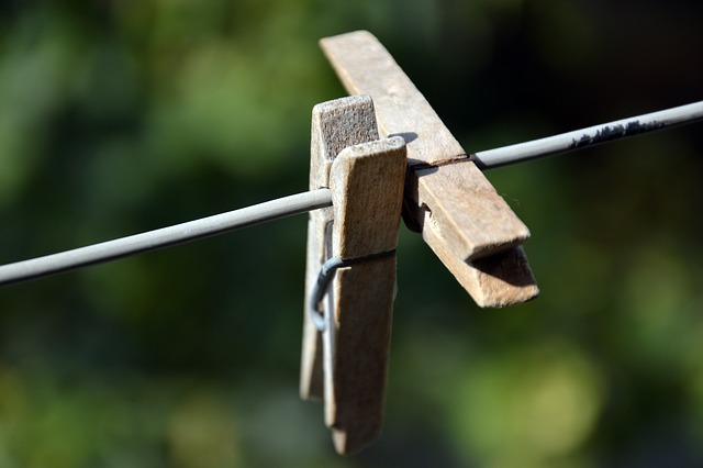 衣夹 执着 木头 - 上的免费照片
