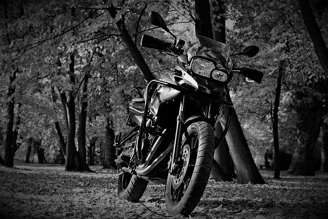 引擎 宝马 F700Gs - 上的免费照片