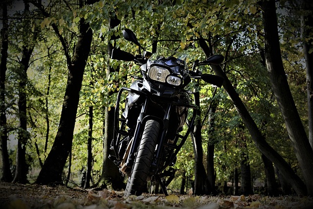 引擎 宝马 F700Gs - 上的免费照片
