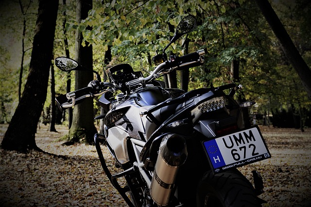 引擎 宝马 F700Gs - 上的免费照片