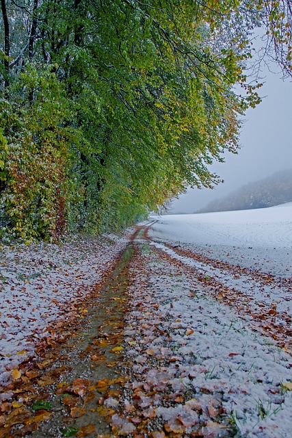 冬天来临 冬天 雪 - 上的免费照片