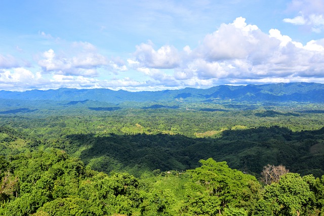 光 阴影 天空 - 上的免费照片