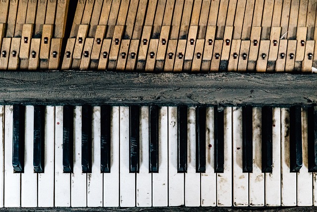 仪器 钢琴 钥匙 - 上的免费照片