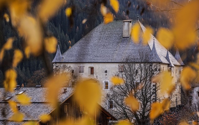 城堡 匈牙利 树叶 - 上的免费照片