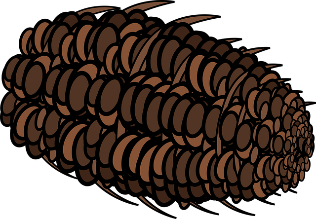 形象的 松塔 松树 - 免费矢量图形