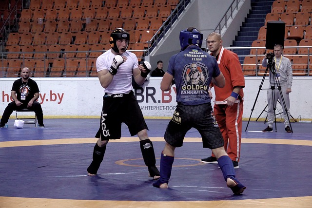 体育 搏击 比赛 - 上的免费照片