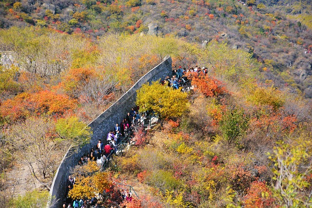 Autumn Beijing Fragrant Hill - 上的免费照片