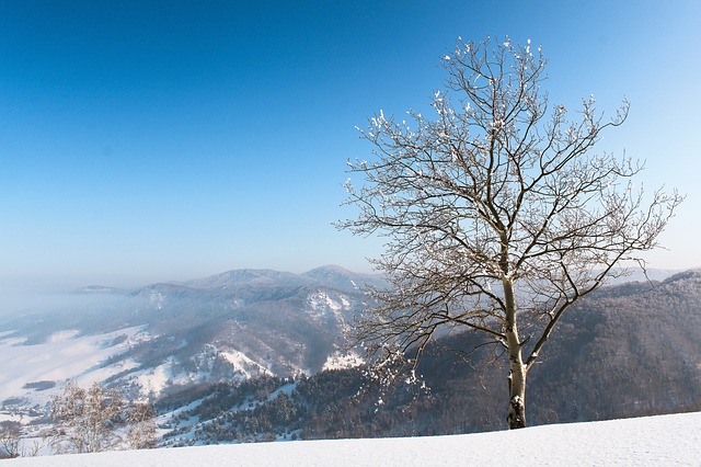 冬季 雪 天空 - 上的免费照片