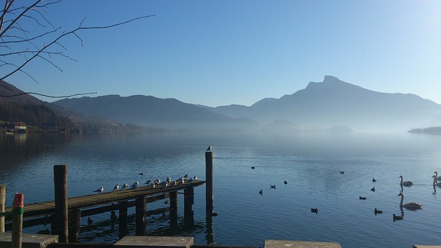 多雾路段 水 河岸 - 上的免费照片