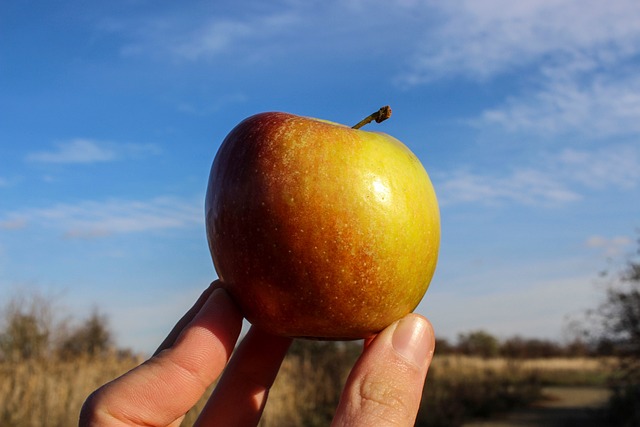 苹果 红色的 手 - 上的免费照片