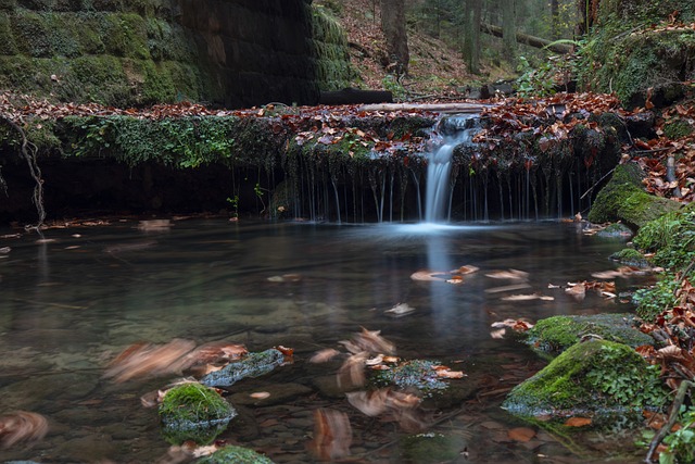 Tei 水 Hohnstein - 上的免费照片