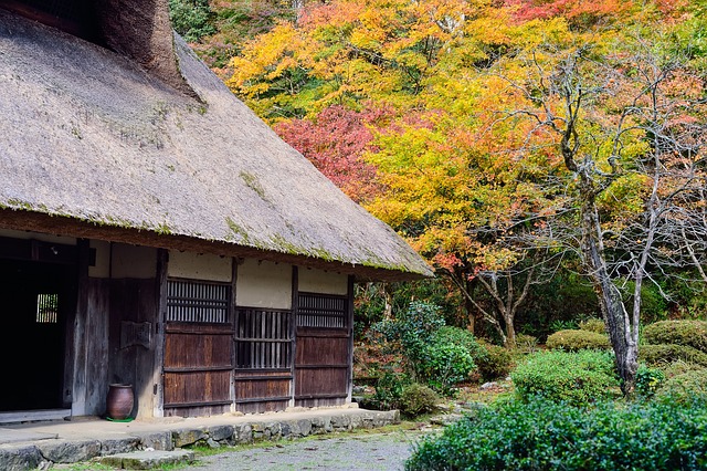 日本 景观 日式 - 上的免费照片