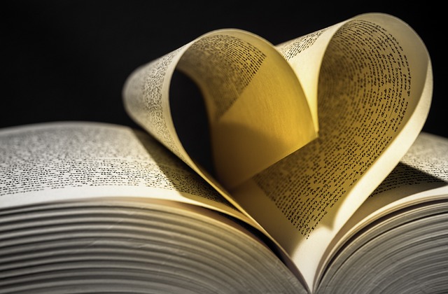 心 本书 网页 - 上的免费照片