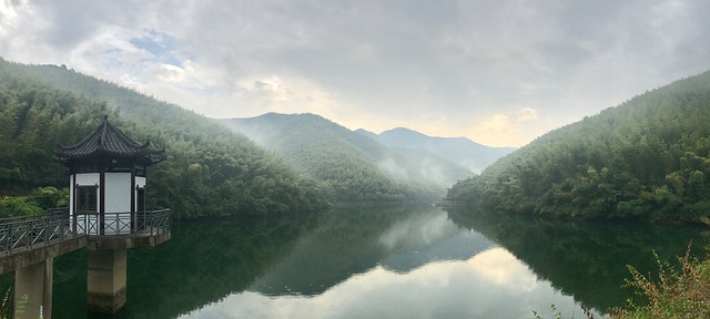 山水 竹林 竹海 - 上的免费照片