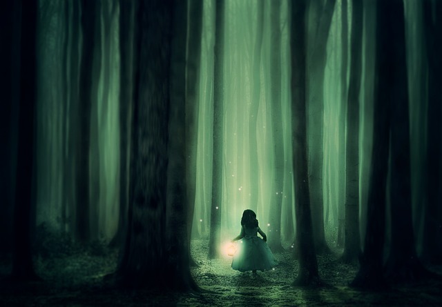 森林 女孩 树木 - 上的免费照片