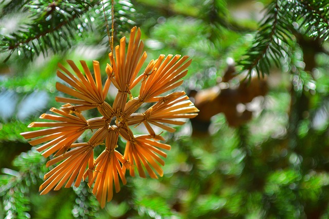 圣诞节 星星 Strohstern - 上的免费照片