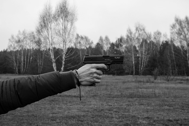 武器 手枪 射击 - 上的免费照片