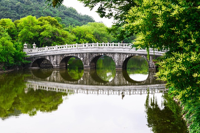 韩国 大邱 河 - 上的免费照片