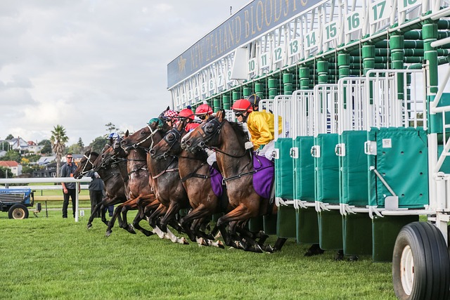 Horse Racing - 上的免费照片