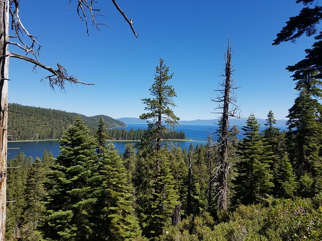 Laketahoe 风景 景观 - 上的免费照片