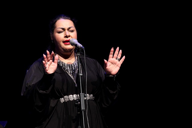 音乐 歌手 歌声 - 上的免费照片