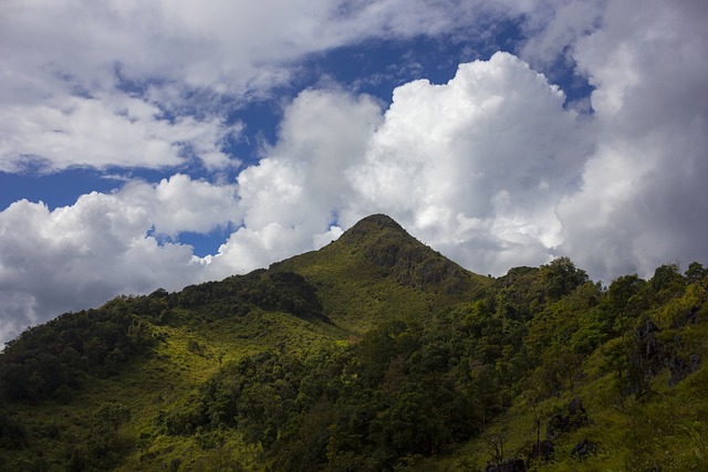 Doi清道 Doi Luang清道 山 - 上的免费照片