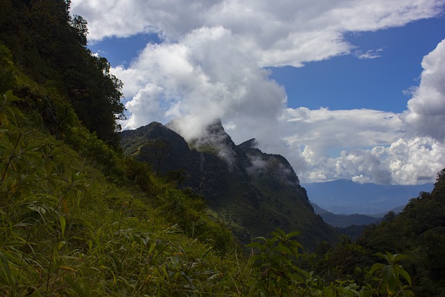 谢谢你，主。 Doi清道 Doi Luang清道 山 - 上的免费照片