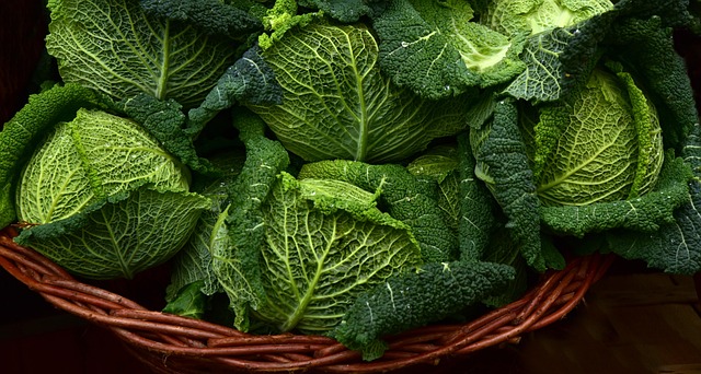 开胃白菜 蔬菜 绿叶蔬菜 - 上的免费照片