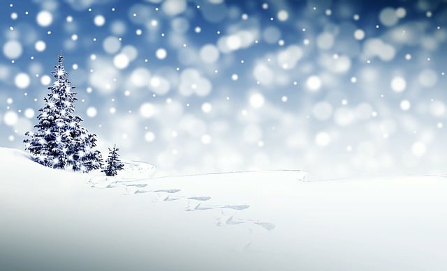 圣诞节 冬天 季节 - 上的免费图片