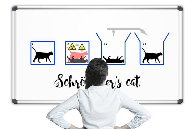 物理 薛定谔的猫 薛定谔 - 上的免费照片