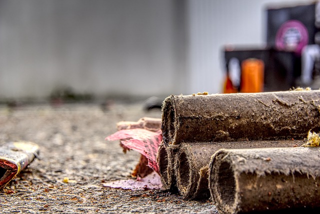 西尔维斯特 鞭炮 杀手 - 上的免费照片