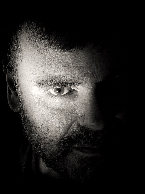 脸 昂贵的 眼睛 - 上的免费照片