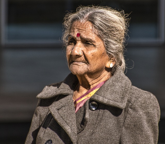 女士 印度小姐 游客 - 上的免费照片