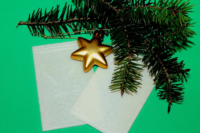 华夫饼干 假期 圣诞节前夕 - 上的免费照片