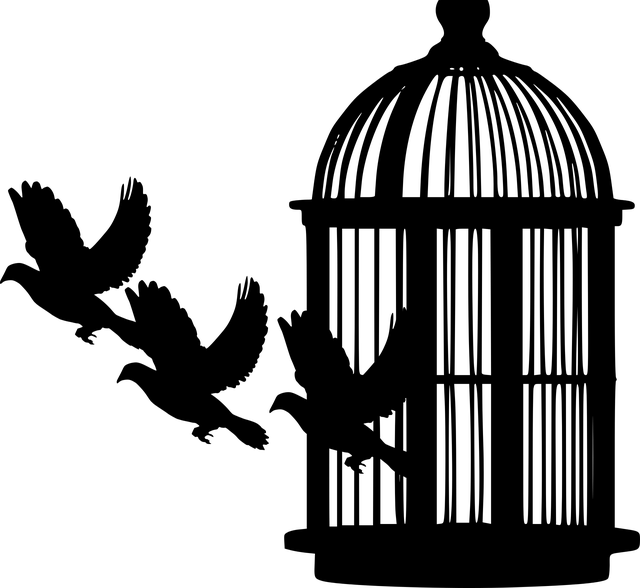 鸟 笼 轮廓 - 免费矢量图形