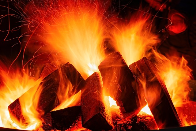火 火焰 营火 - 上的免费照片