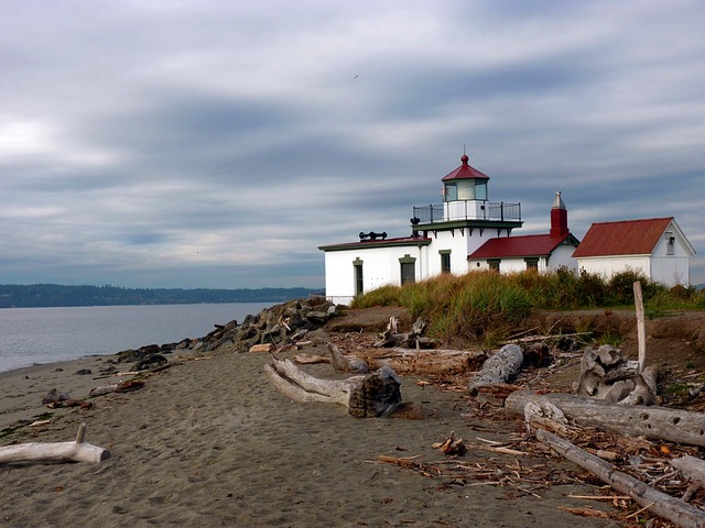 Lighthouse Beach - 上的免费照片