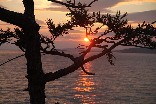 奥尔洪 西伯利亚 贝加尔湖 - 上的免费照片