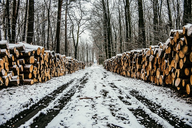 冬季 方式 雪 - 上的免费照片