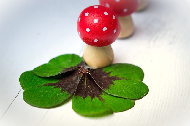 幸运的家伙 幸运符 幸运四叶草 - 上的免费照片