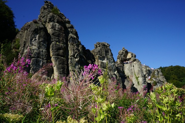 Externsteine 夏天 天然纪念物 - 上的免费照片