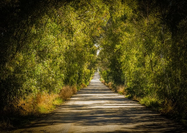 路 农村 塞浦路斯 - 上的免费照片
