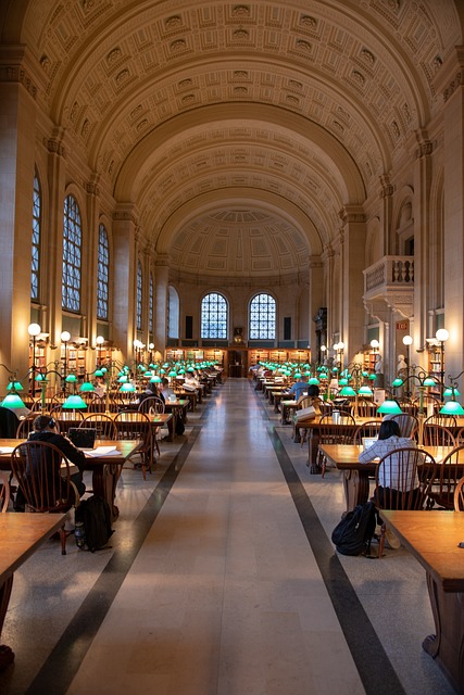 图书馆 研究 阅读 - 上的免费照片