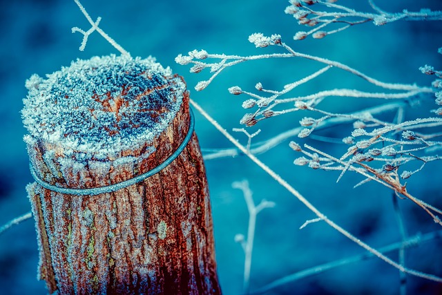 邮政 霜 雪晶 - 上的免费照片