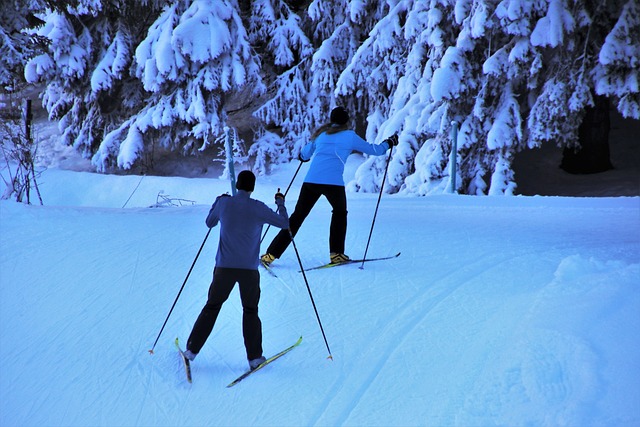 滑雪者 滑雪板 雪 - 上的免费照片