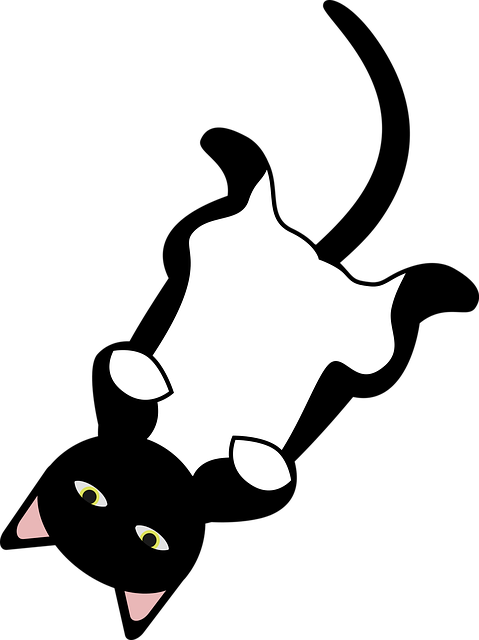 形象的 猫 黑猫 - 免费矢量图形