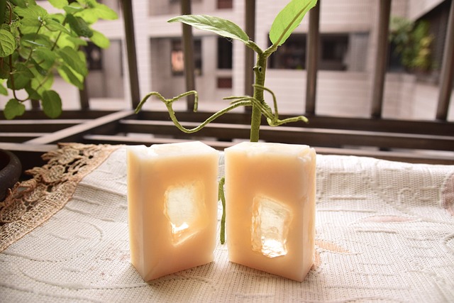 Handmade Soap 手工皂 - 上的免费照片
