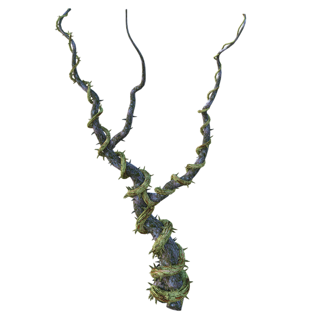 藤蔓 纠纷 吠 - 上的免费图片